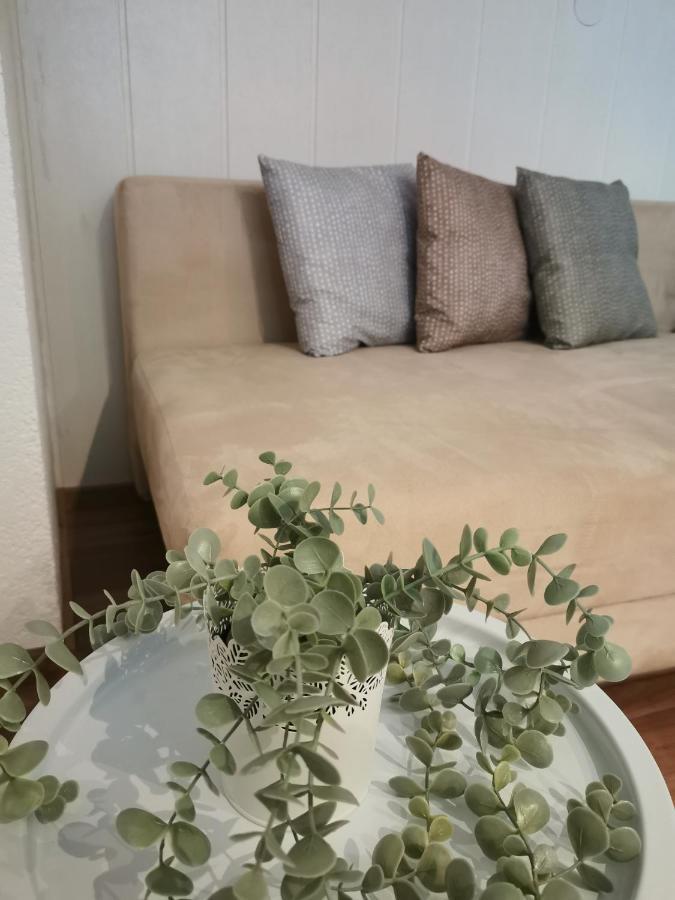 Riverside Appartements Lieserbrücke 외부 사진